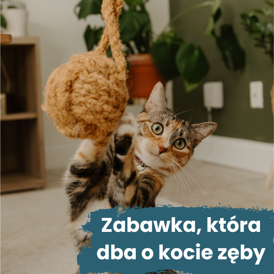 Naturalna zabawka z włókna kokosowego i kocimiętki